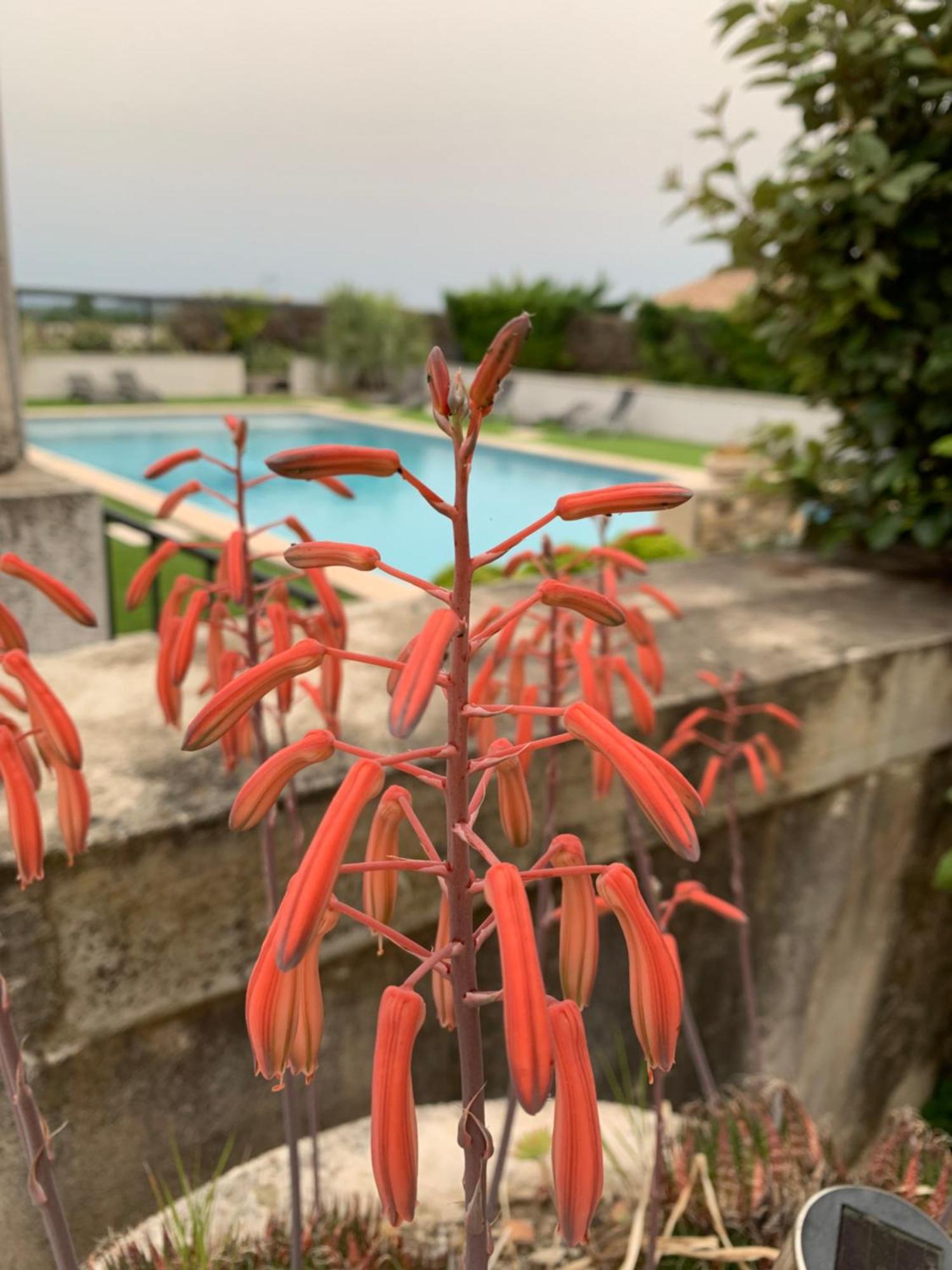 Saint-Julien-de-PeyrolasDomaine Forvent住宿加早餐旅馆 外观 照片